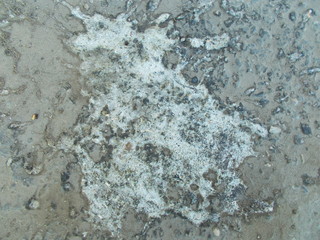  Abstract background for interior design