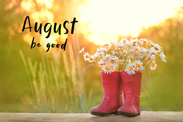August be good. daisies and rubber red boots. Creative Gardening concept. Beautiful bunch of summer...