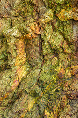 Rock texture on the shore