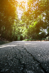 asphalt road in green forest or park with sunlight effect, shallow depth of field