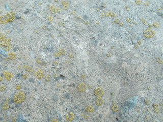  Abstract background for interior design