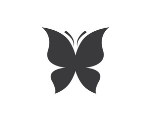 butterfly logo icon  vector template