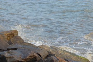 Stone lined in the beach