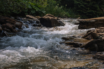 waterfall in the forest