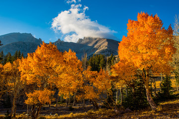 Fall in the Great Basin