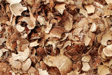 Background coconut shell prepared for burning charcoal.