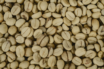 Fresh Raw coffee beans on background.
