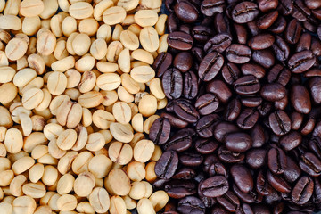 Raw coffee beans in coffee cup on open space.