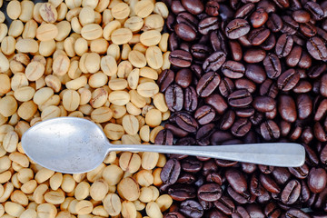 Raw coffee beans in coffee cup on open space.