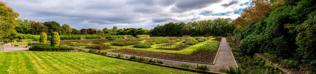 Fototapeta na wymiar panoramic view of a renovated Queen Mother Rose Garden in Hazlehead park, Aberdeen, Scotland
