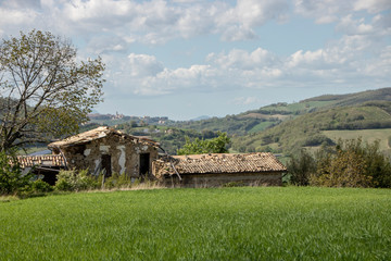 Landscape of Marche
