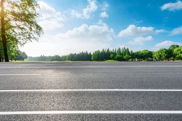 Country road and green woods nature landscape in summer