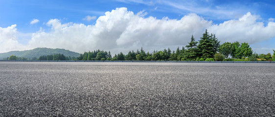 Country asphalt road and green woods nature landscape in summer