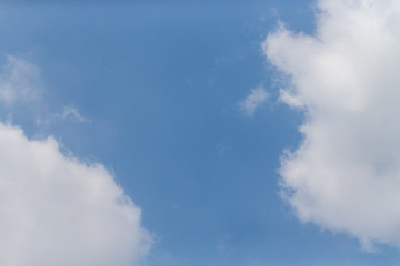 東京都神代植物公園の7月の空