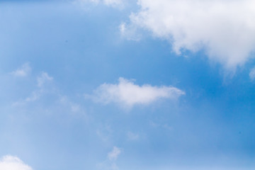 東京都神代植物公園の7月の空