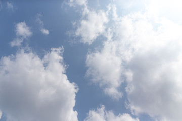 東京都神代植物公園の7月の空