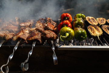 Cooking kebab on a metal skewer and grilled vegetables. Grilled meat and vegetables. Picnic, street food.