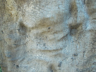  Wood texture for your design