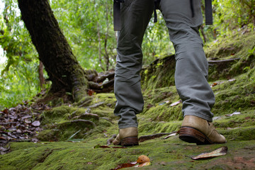Hiking with a backpack and climbing shoes on a man standing on a moss covered forest and walking.