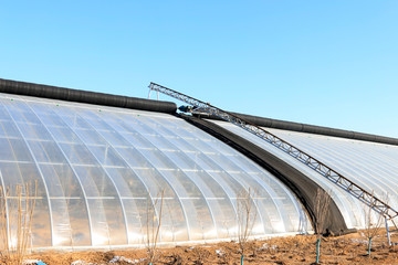 Plastic greenhouses architectural appearance