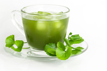 Fresh green Gotu kola, Centella asiatica leaf and juice on white background , Asiatic pennywort, Indian pennywort , a ayurvedic medical herb concept