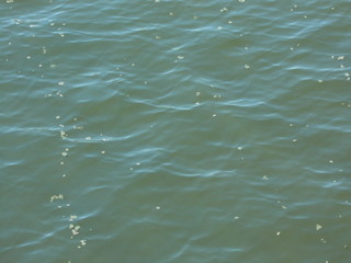 The surface of the water in the fountain