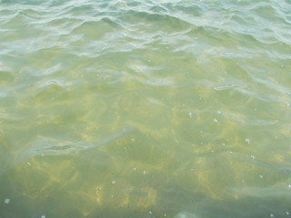 Fototapeta premium The surface of the water in the fountain