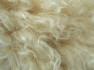 Fototapeta premium Abstract fur background