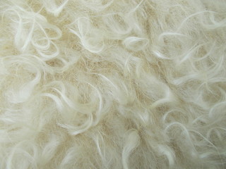  Abstract fur background