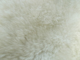  Abstract fur background