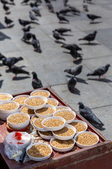 Man selling pigeon food from a booth in Eminonu