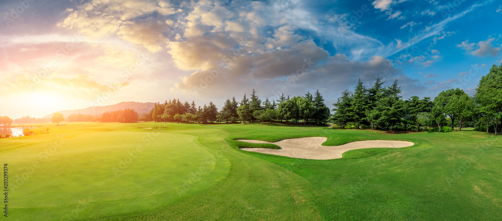 Wall mural green grass and woods on a golf field