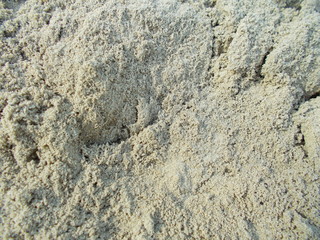  Sandy background for design.