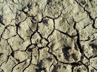  Sandy background for design.