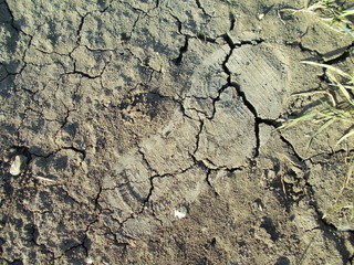  Sandy background for design.