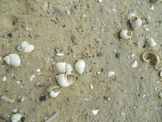  Sandy background for design.