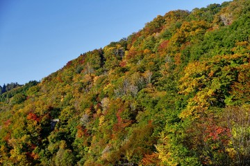 秋扇湖（鎧畑ダム湖）秋田県仙北市