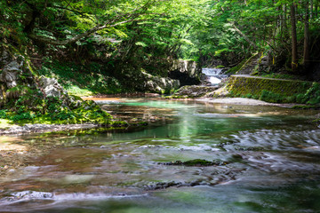 Naklejka premium 伏伸の滝