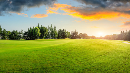 Green grass and forest with beautiful clouds at sunset