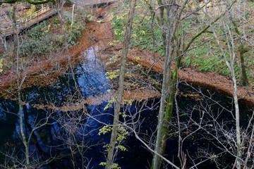 《十二湖の紅葉》青森県深浦町