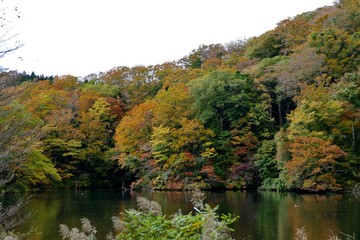 《十二湖の紅葉》青森県深浦町