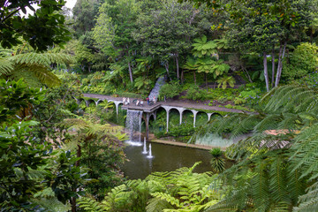 Fototapeta na wymiar Monte Palace Tropical Garden