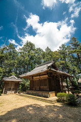 Naklejka premium 夏の田舎の景色と寺