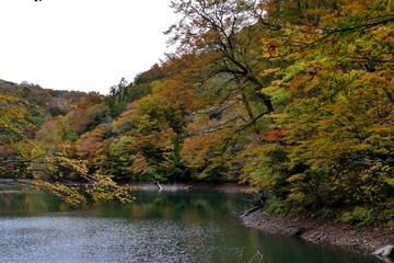 《十二湖の紅葉》青森県深浦町