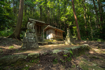 夏の田舎の景色と寺