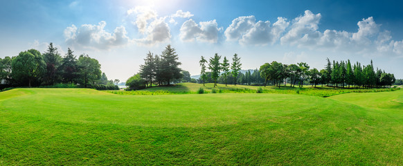 Green grass and blue sky with white clouds in summer season
