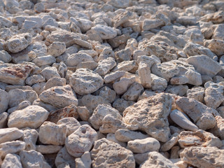 Sea pebbles from white shell rock. Background.