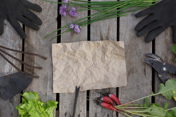 Crumpled crumpled paper for your text with garden tools and summer greens, top view