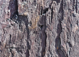 Stone texture