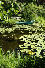 睡蓮池のイメージ